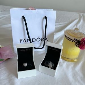 Pandora Charms